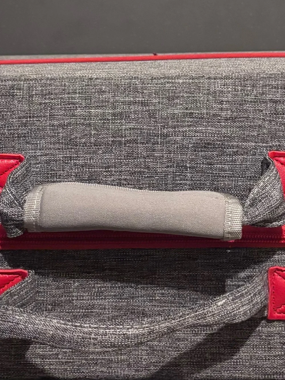 Amazon padded carrying